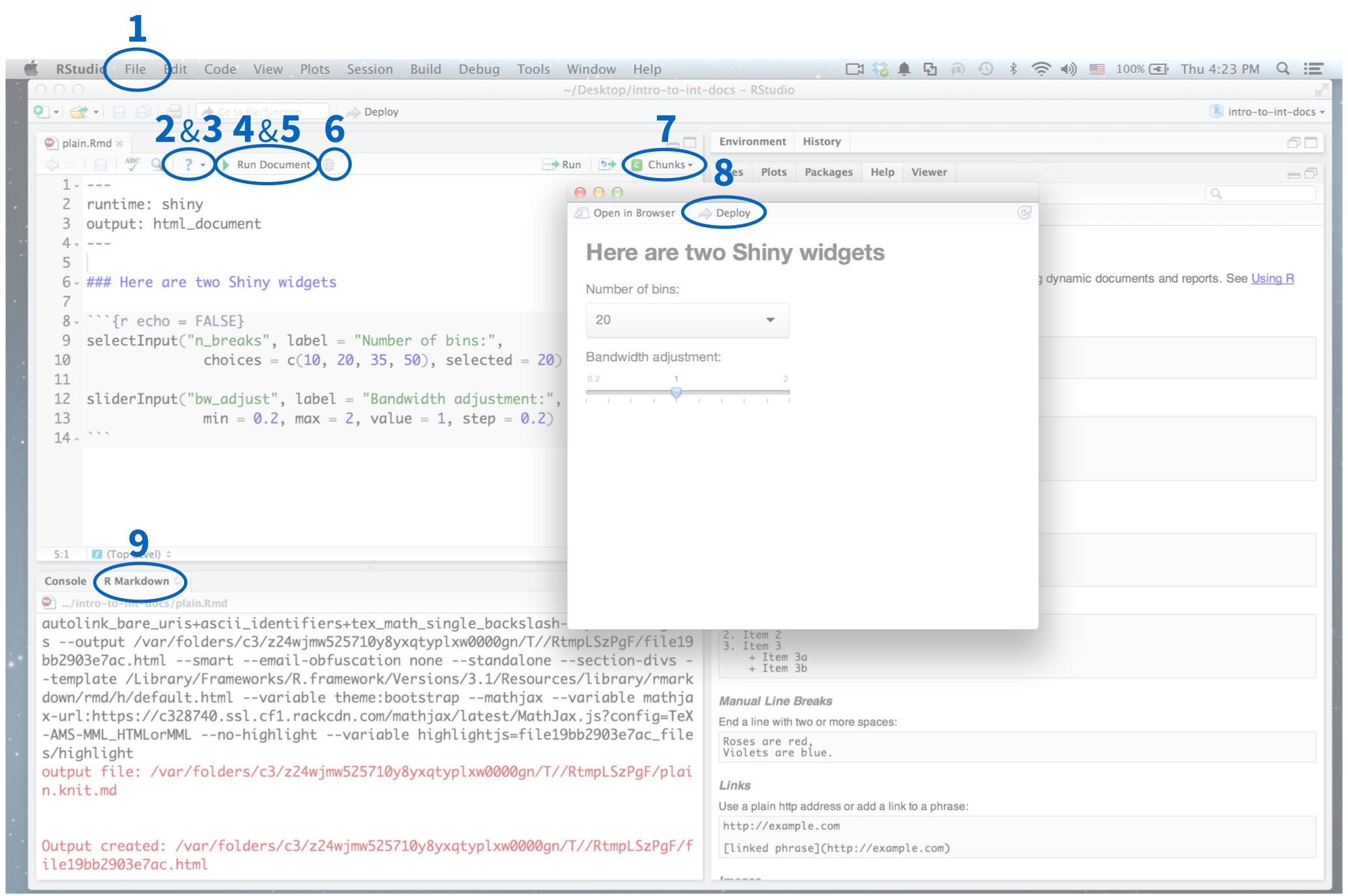 The RStudio IDE layout with the various sections indicated with the numbers above.