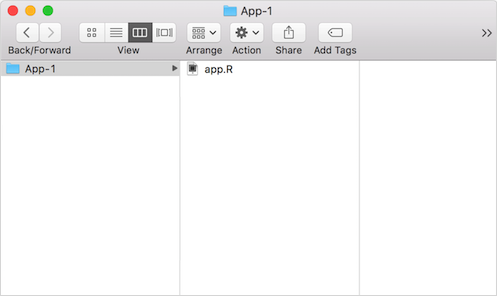An image of a folder with a file called app.R inside